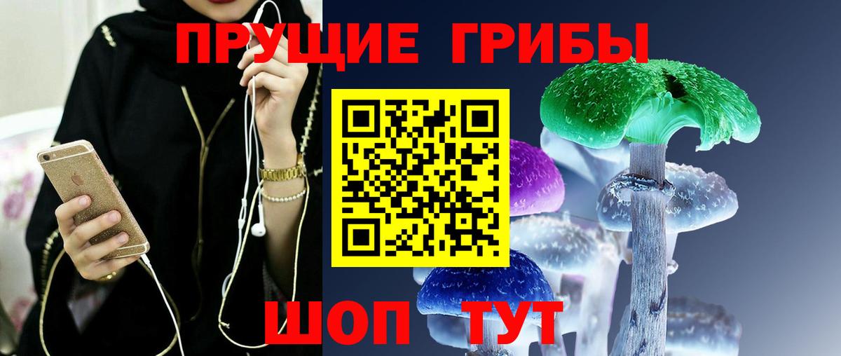 Псилоцибиновые грибы мицелий Пенза